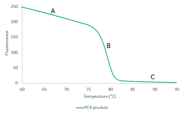 what-is-dna-melting-methyldetect